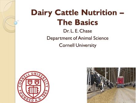 Dairy Cattle Nutrition – The Basics