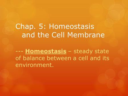 Chap. 5: Homeostasis and the Cell Membrane --- Homeostasis – steady state of balance between a cell and its environment.