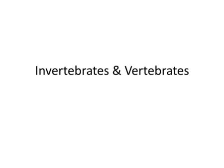 Invertebrates & Vertebrates. InvertebratesVertebrates Multi-Cellular (many cells) Heterotrophs Obtain food & oxygen Keep internal conditions in balance.