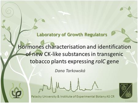 Hormones characterisation and identification of new CK-like substances in transgenic tobacco plants expressing rolC gene Dana Tarkowská Palacky University.