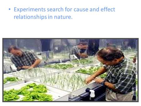 Experiments search for cause and effect relationships in nature.