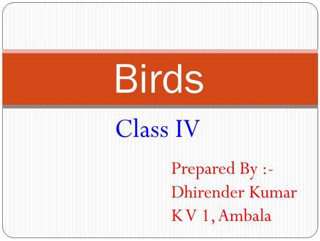 Birds Class IV Prepared By :- Dhirender Kumar K V 1, Ambala.