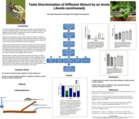 Taste Discrimination of Different Stimuli by an Anole (Anolis carolinensis) Alex Hoke Department of Biology, York College of Pennsylvania Introduction.