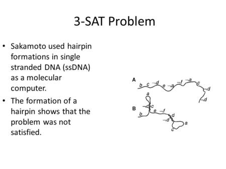3-SAT Problem Sakamoto used hairpin formations in single stranded DNA (ssDNA) as a molecular computer. The formation of a hairpin shows that the problem.