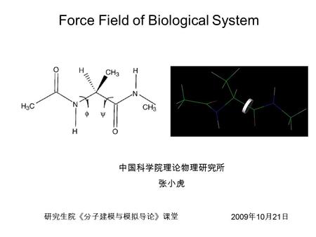 Force Field of Biological System 中国科学院理论物理研究所 张小虎 研究生院《分子建模与模拟导论》课堂 2009 年 10 月 21 日.