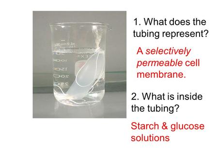 1. What does the tubing represent?