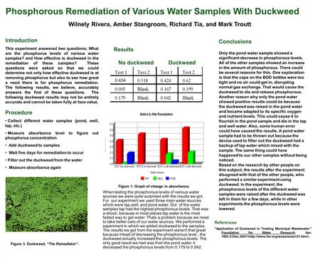 Phosphorous Remediation of Various Water Samples With Duckweed Wilnely Rivera, Amber Stangroom, Richard Tia, and Mark Troutt Introduction This experiment.