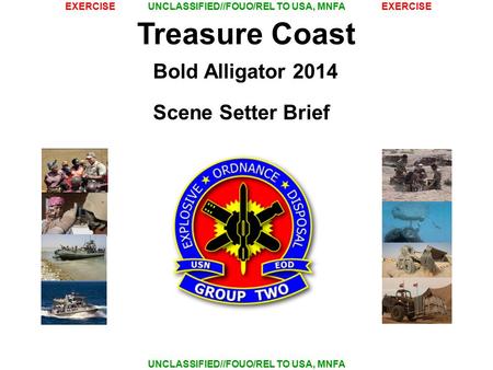 Bold Alligator 2014 Scene Setter Brief.