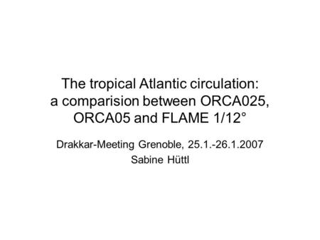 The tropical Atlantic circulation: a comparision between ORCA025, ORCA05 and FLAME 1/12° Drakkar-Meeting Grenoble, 25.1.-26.1.2007 Sabine Hüttl.
