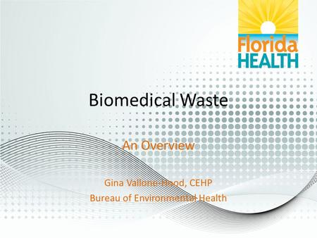An Overview Gina Vallone-Hood, CEHP Bureau of Environmental Health