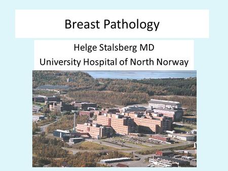 Breast Pathology Helge Stalsberg MD University Hospital of North Norway.