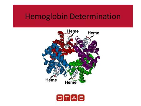 Hemoglobin Determination. Hemoglobin — Found in the RBC. — Responsible for carrying oxygen to all cells in the body. — Also binds to carbon dioxide and.