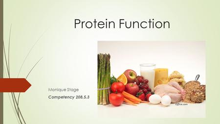 Protein Function Monique Stage Competency 208.5.3 Office.com.