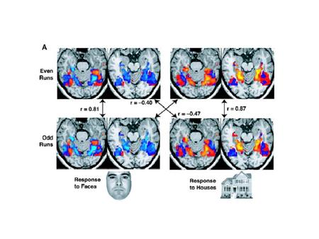 Shulman and Rothman PNAS, 1998 In this period of intense research in the neurosciences, nothing is more promising than functional magnetic resonance imaging.