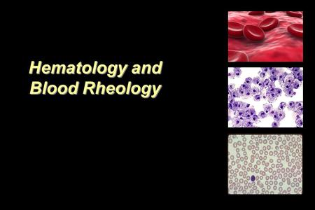 Hematology and Blood Rheology. Elements of Blood Blood includes 40 to 45% formed elements: -Red Blood Cells (erythrocytes). -White Blood Cells (leukocytes).
