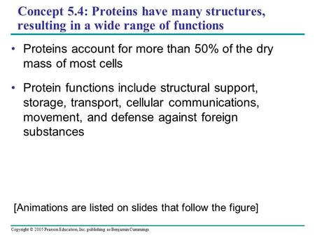 Copyright © 2005 Pearson Education, Inc. publishing as Benjamin Cummings Concept 5.4: Proteins have many structures, resulting in a wide range of functions.