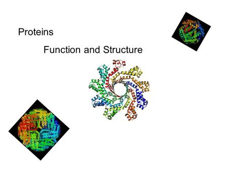 Proteins Function and Structure.