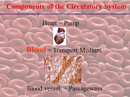 Components of the Circulatory System Heart = Pump Blood vessel = Passageways Blood = Transport Medium.