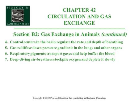 CHAPTER 42 CIRCULATION AND GAS EXCHANGE Copyright © 2002 Pearson Education, Inc., publishing as Benjamin Cummings Section B2: Gas Exchange in Animals (continued)