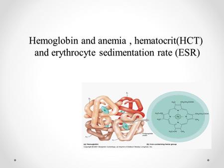 Hemoglobin structure. Hemoglobin and anemia , hematocrit(HCT) and erythrocyte sedimentation rate (ESR)