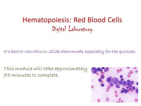 Hematopoiesis: Red Blood Cells Digital Laboratory