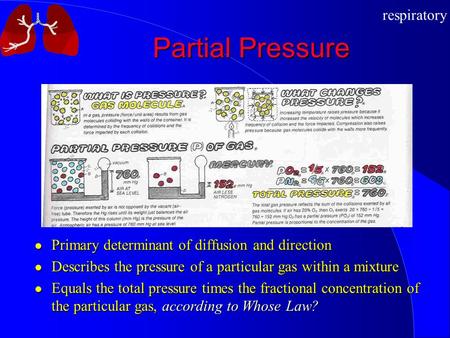 Respiratory Partial Pressure Primary determinant of diffusion and direction Describes the pressure of a particular gas within a mixture Equals the total.
