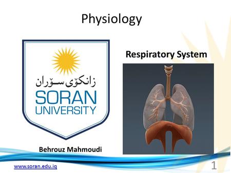 Www.soran.edu.iq Physiology Behrouz Mahmoudi Respiratory System 1.