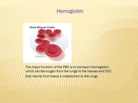 Hemoglobin The major function of the RBC is to transport hemoglobin, which carries oxygen from the lungs to the tissues and CO2 that results from tissue’s.