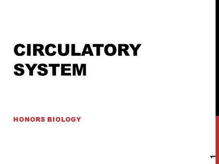 Circulatory System Honors Biology.