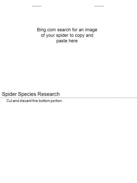 Spider Species Research Cut and discard this bottom portion. Bing.com search for an image of your spider to copy and paste here.