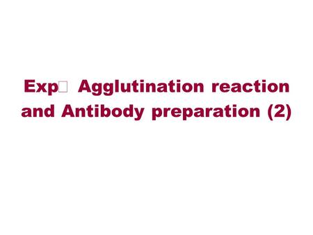 Exp Ⅱ Agglutination reaction and Antibody preparation (2)
