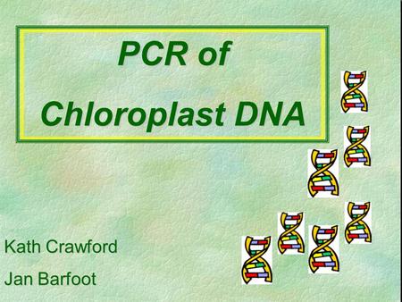 Kath Crawford Jan Barfoot PCR of Chloroplast DNA.