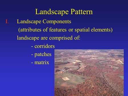 Landscape Pattern I.Landscape Components (attributes of features or spatial elements) landscape are comprised of: - corridors - patches - matrix.