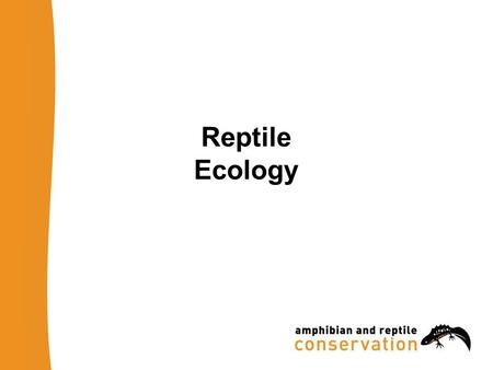 Reptile Ecology. What drives reptiles? Thermoregulation Feeding Mating Reproduction.