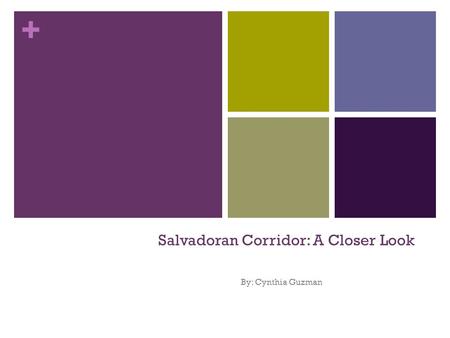 + Salvadoran Corridor: A Closer Look By: Cynthia Guzman.