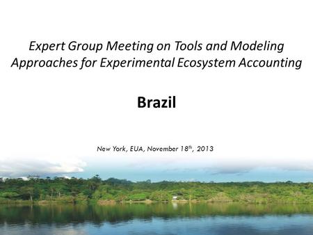 Expert Group Meeting on Tools and Modeling Approaches for Experimental Ecosystem Accounting Brazil New York, EUA, November 18 th, 2013.