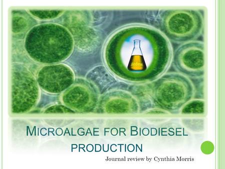 M ICROALGAE FOR B IODIESEL PRODUCTION Journal review by Cynthia Morris.