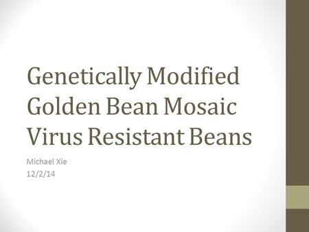 Genetically Modified Golden Bean Mosaic Virus Resistant Beans Michael Xie 12/2/14.