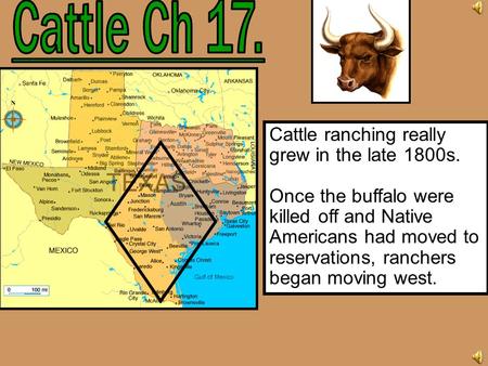 Cattle Ch 17. Cattle ranching really grew in the late 1800s.