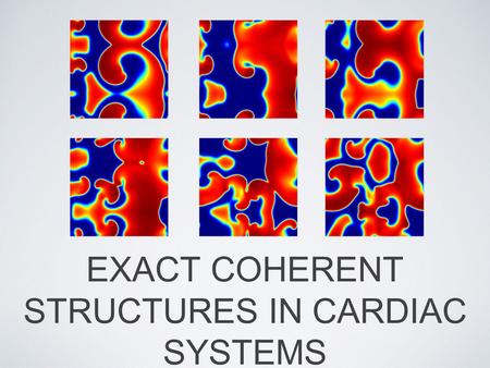 EXACT COHERENT STRUCTURES IN CARDIAC SYSTEMS. THE HEART Complicated geometries orientation, dimensionality, anisotropy, defects Electrical dynamics Fluid.