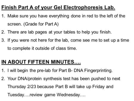 Finish Part A of your Gel Electrophoresis Lab. 1. Make sure you have everything done in red to the left of the screen. (Grade for Part A) 2. There are.
