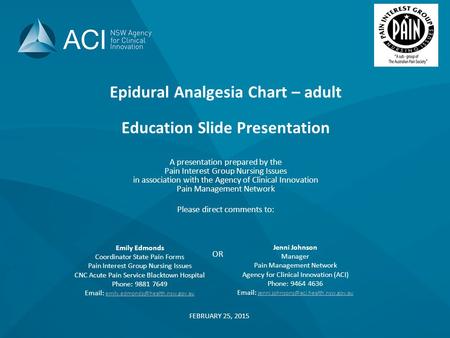 Epidural Analgesia Chart – adult Education Slide Presentation A presentation prepared by the Pain Interest Group Nursing Issues in association with the.