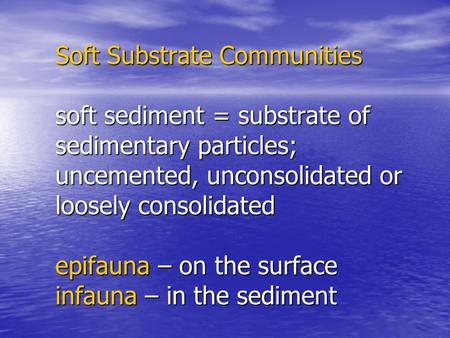 Soft Substrate Communities soft sediment = substrate of sedimentary particles; uncemented, unconsolidated or loosely consolidated epifauna – on the surface.