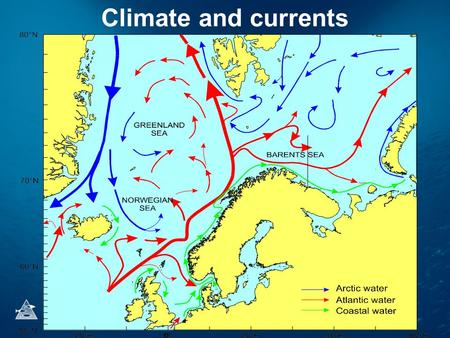 Climate and currents. Temperature in Kola section.