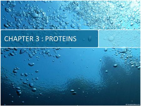 CHAPTER 3 : PROTEINS.