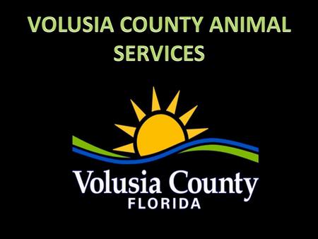 The Animal Services Division of Volusia County is committed to insuring citizen and animal safety, promotion of responsible pet ownership and the reduction.