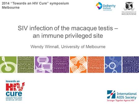 2014 “Towards an HIV Cure” symposium Melbourne SIV infection of the macaque testis – an immune privileged site Wendy Winnall, University of Melbourne.