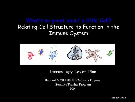 What’s so great about a little Cell? Relating Cell Structure to Function in the Immune System Immunology Lesson Plan Harvard MCB / HHMI Outreach Program.