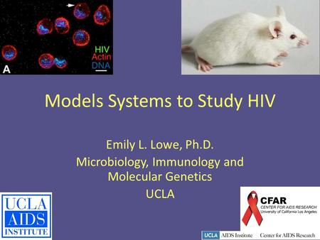 Models Systems to Study HIV Emily L. Lowe, Ph.D. Microbiology, Immunology and Molecular Genetics UCLA.