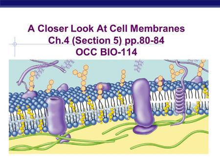 A Closer Look At Cell Membranes Ch.4 (Section 5) pp.80-84 OCC BIO-114.